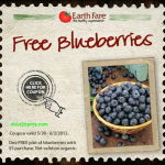 EFfreeblueberries