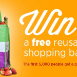 free earthbound bag